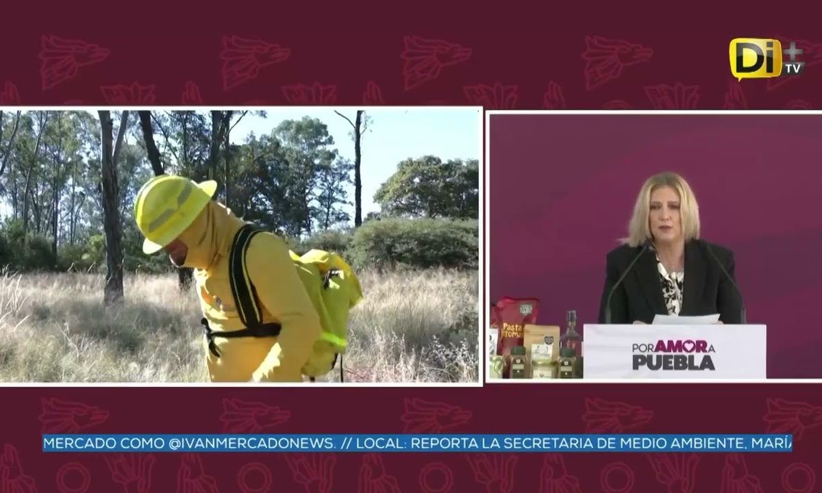 HISTÓRICA REDUCCIÓN DE INCENDIOS FORESTALES EN PUEBLA