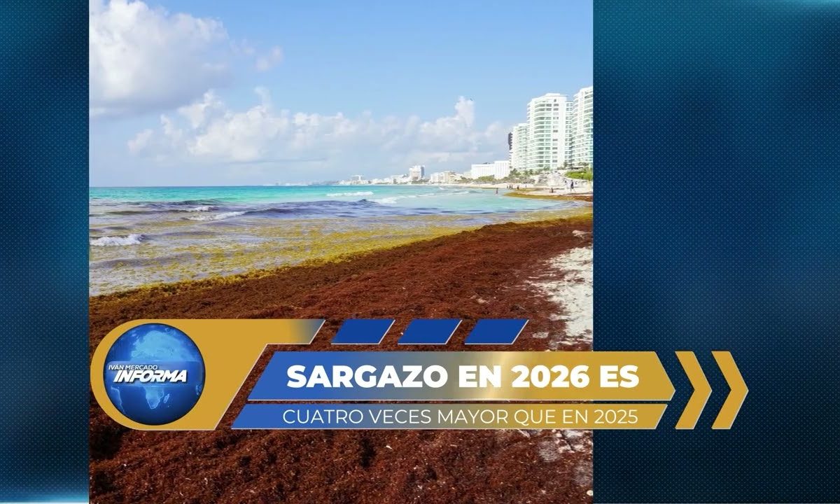 PREVÉN HISTÓRICO ARRIBO DE SARGAZO EN QUINTANA ROO