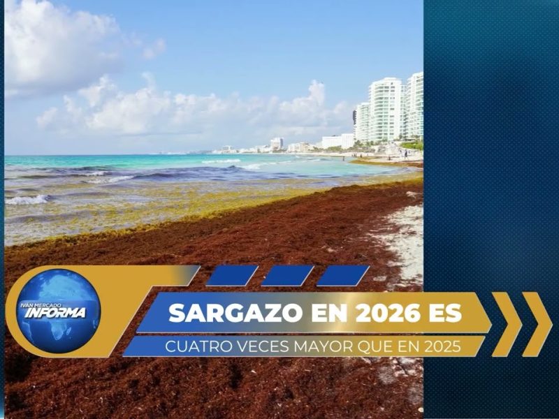 PREVÉN HISTÓRICO ARRIBO DE SARGAZO EN QUINTANA ROO