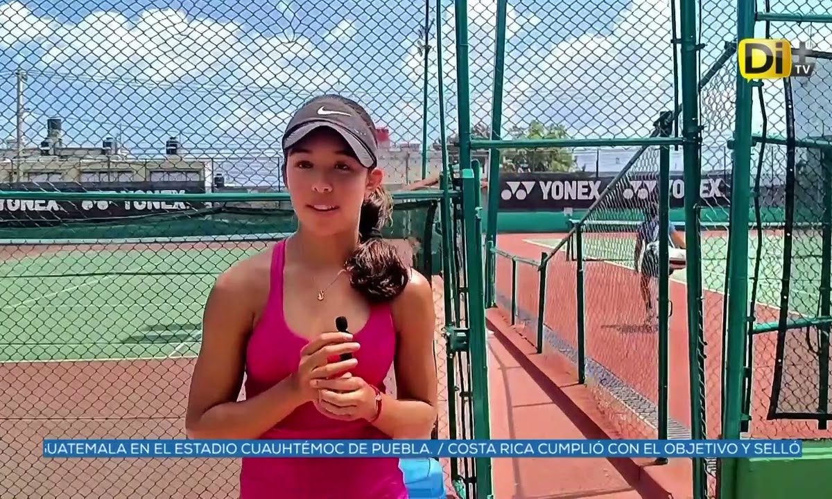 Tenis