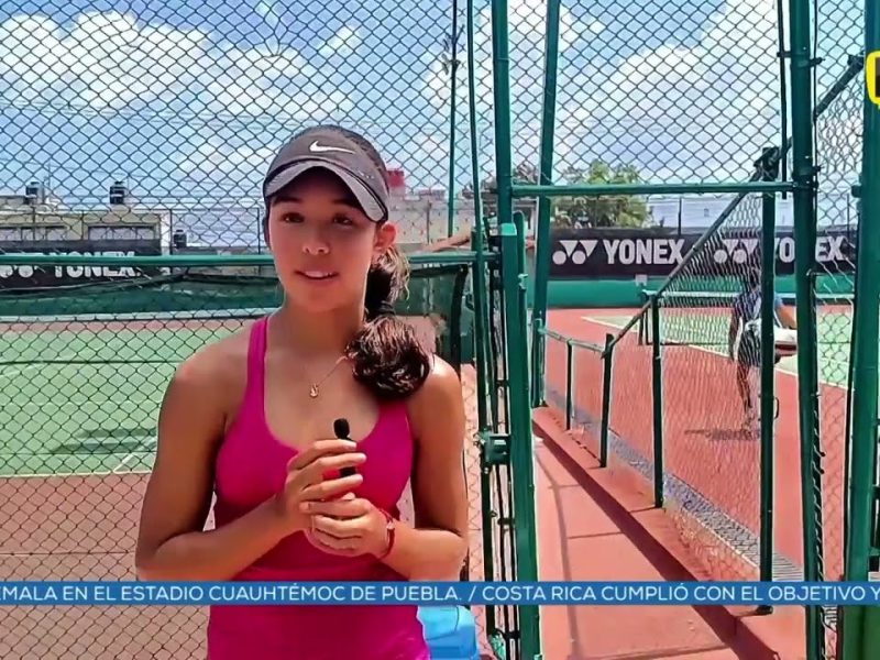 Tenis