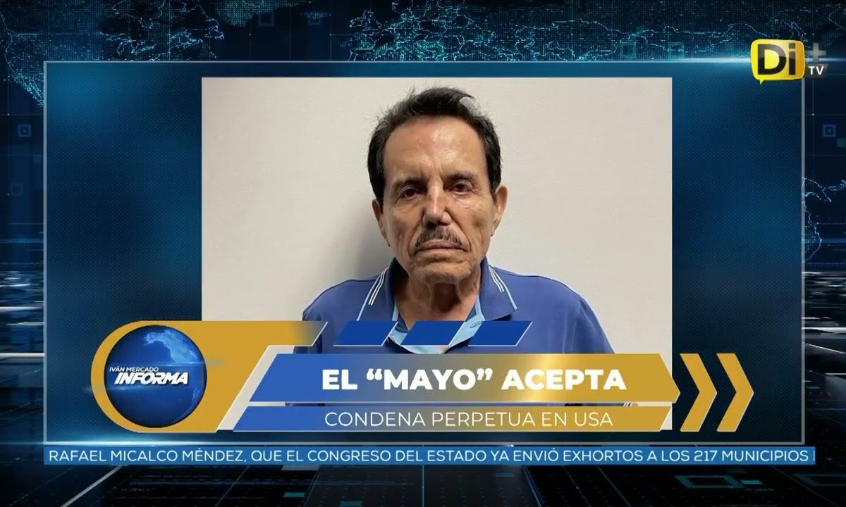 EL MAYO