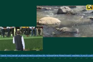 ATENDERAN CONTAMINACIÓN DE RASTRO MUNICIPAL DE TLAHUAPAN. ANUNCIAN ACCIONES INTERESTALES