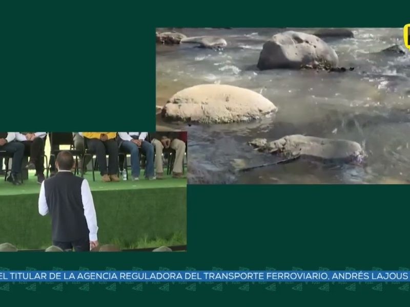 ATENDERAN CONTAMINACIÓN DE RASTRO MUNICIPAL DE TLAHUAPAN. ANUNCIAN ACCIONES INTERESTALES
