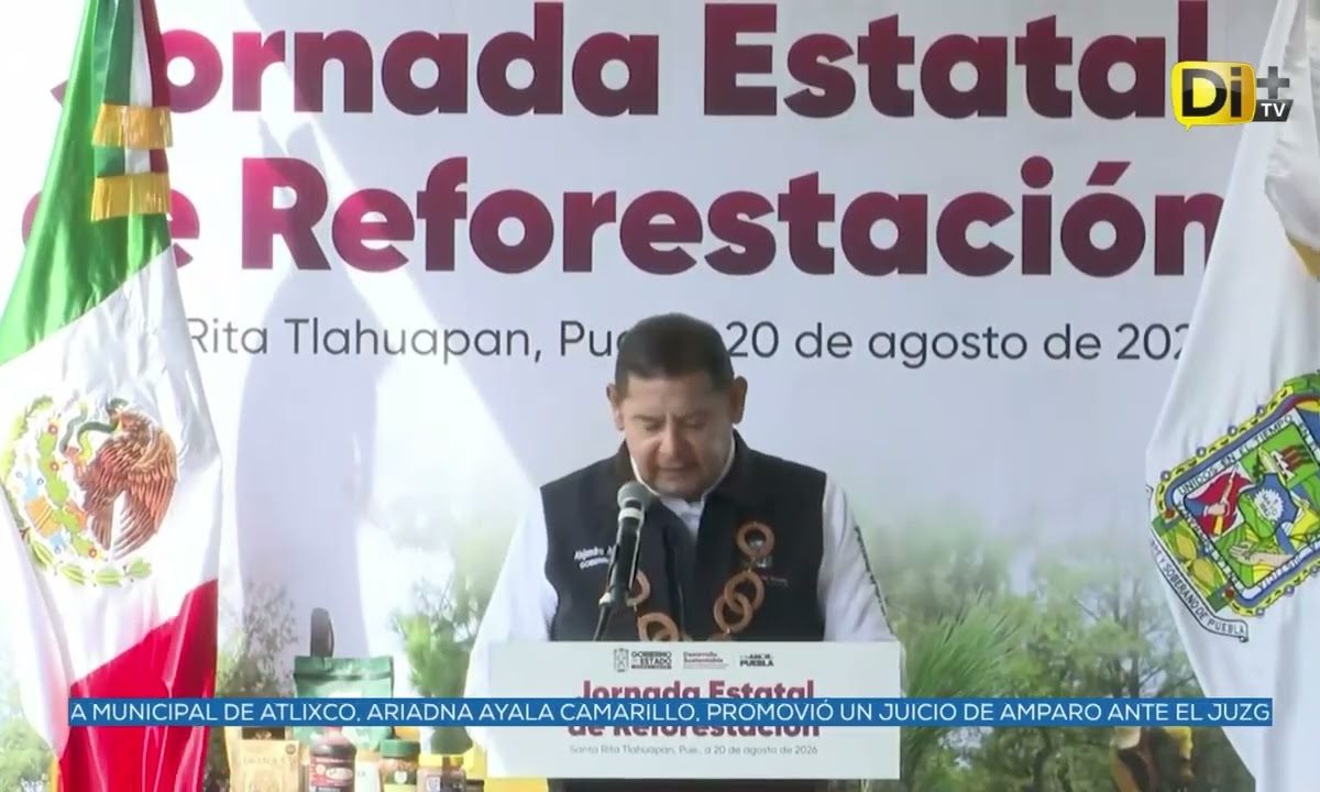PLANTAR 2 MILLONES DE ÁRBOLES ES LA META DE LA ADMINISTRACIÓN ESTATAL PARA 2026
