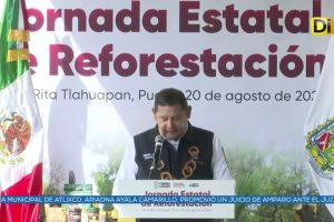 PLANTAR 2 MILLONES DE ÁRBOLES ES LA META DE LA ADMINISTRACIÓN ESTATAL PARA 2026